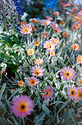 Flower Fields
