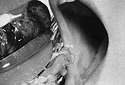 Down the hatch