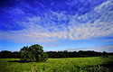 Velvia 50 #2