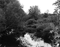 Sonatas X-4 (Gioventu - Presto) Pieces of the Present Abide - The Life of the River