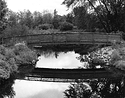 Sonatas X-5 (Gioventu - Presto) Pieces of the Present Abide - The Life of the River