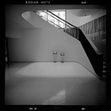 DC Library Stairs