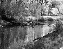 Sonatas X-6 (Gioventu - Presto) Pieces of the Present Abide - The Life of the River