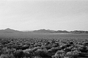 Nevada
