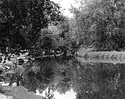 Sonatas X-9 (Gioventu - Presto) Pieces of the Present Abide - The Life of the River