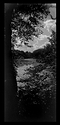 Landscape Scroll