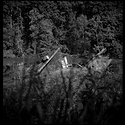 Mallows Bay Wreck
