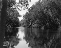 Sonatas X-13 (Adulto - Andante) Pieces of the Present Abide - The Life of the River