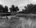 Sonatas X-14 (Adulto - Andante) Pieces of the Present Abide - The Life of the River