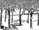 Trees, benches in snow