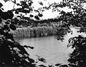 Sonatas X-15 (Adulto - Andante) Pieces of the Present Abide - The Life of the River