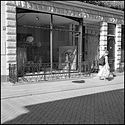 Kastanje