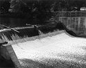 Sonatas X-19 (Anziano - Placido poi Furioso) Pieces of the Present Abide - The Life of the River