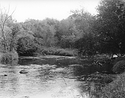 Sonatas X-20 (Anziano - Placido poi Furioso) Pieces of the Present Abide - The Life of the River