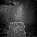 Kids Swimming, Savage Mill