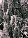 Asian Landscape.jpg