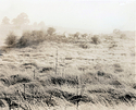 A field Somewhere