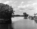 Sonatas X-26 (Morte e Renascita - Andantino)  Pieces of the Present Abide - The Life of the River