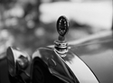 Soft Focus With a Wollensak 380mm f5.6 Telephoto