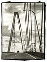 Ravenel Bridge