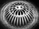 Mitosis