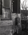 Larisa's Goldfield Tarpaper Shack