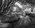 Confederation Park, Fall 2022