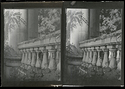HP5 & J&C Classic Kallitypes.jpg