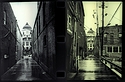 Ortho Alley