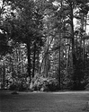 Rockwood Park-3