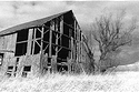 Still Standing