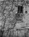 Abandoned Home McLean County