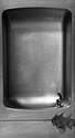 Fountain-Leaf