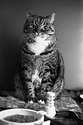 Image 1 4.jpeg