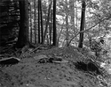 Trail 2-1