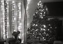 Halina 35X-CHRISTmas