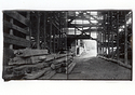 Bailey Ridge Diptych (2022)