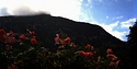 Pyrenees - view from balcony