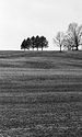 Winter Landscape 1