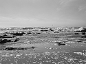Pescadero State Beach