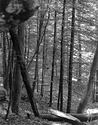 Trail 2-2