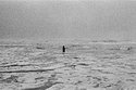 Ocean Beach