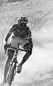 img021.jpg