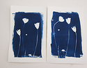 cyanotype