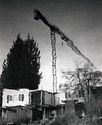Crane
