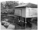 Shoin House