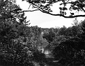Sterling Pond