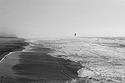 Ocean Beach