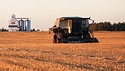 Harvest Time