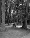 Rockwood Park-7